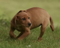 Nelly - Photo 2