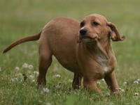 Nelly - Photo 3