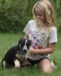 Ronan - Photo 10