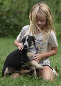 Ronan - Photo 9