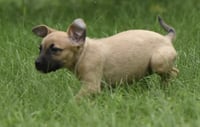Sylvia - Photo 8