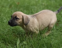 Sylvia - Photo 12