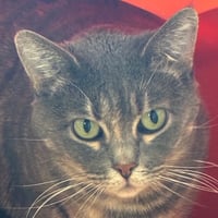 Freya - Photo 3