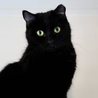 Eleanor - Photo 1
