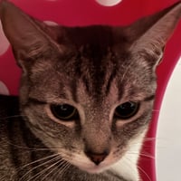 Miss Candy [and Mister Andy] - Photo 1