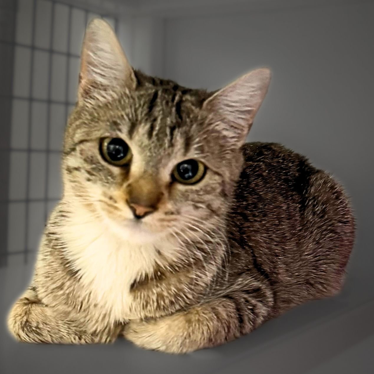 Sandy Marmalade - Photo 3