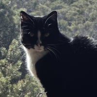 Lucille - Photo 2