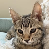 Zyra [and Myra] - Photo 1