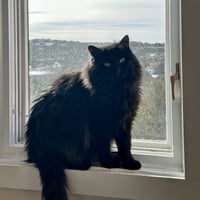 Leela - Photo 4