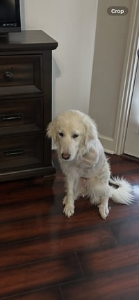 Sheila - Photo 1