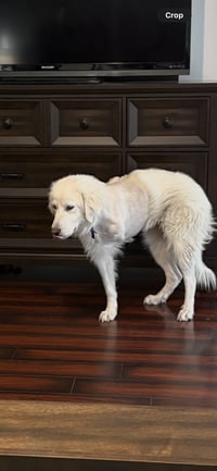 Sheila - Photo 2