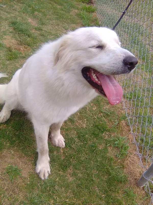 Mavis - Photo 4