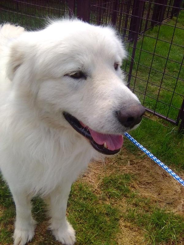 Mavis - Photo 5