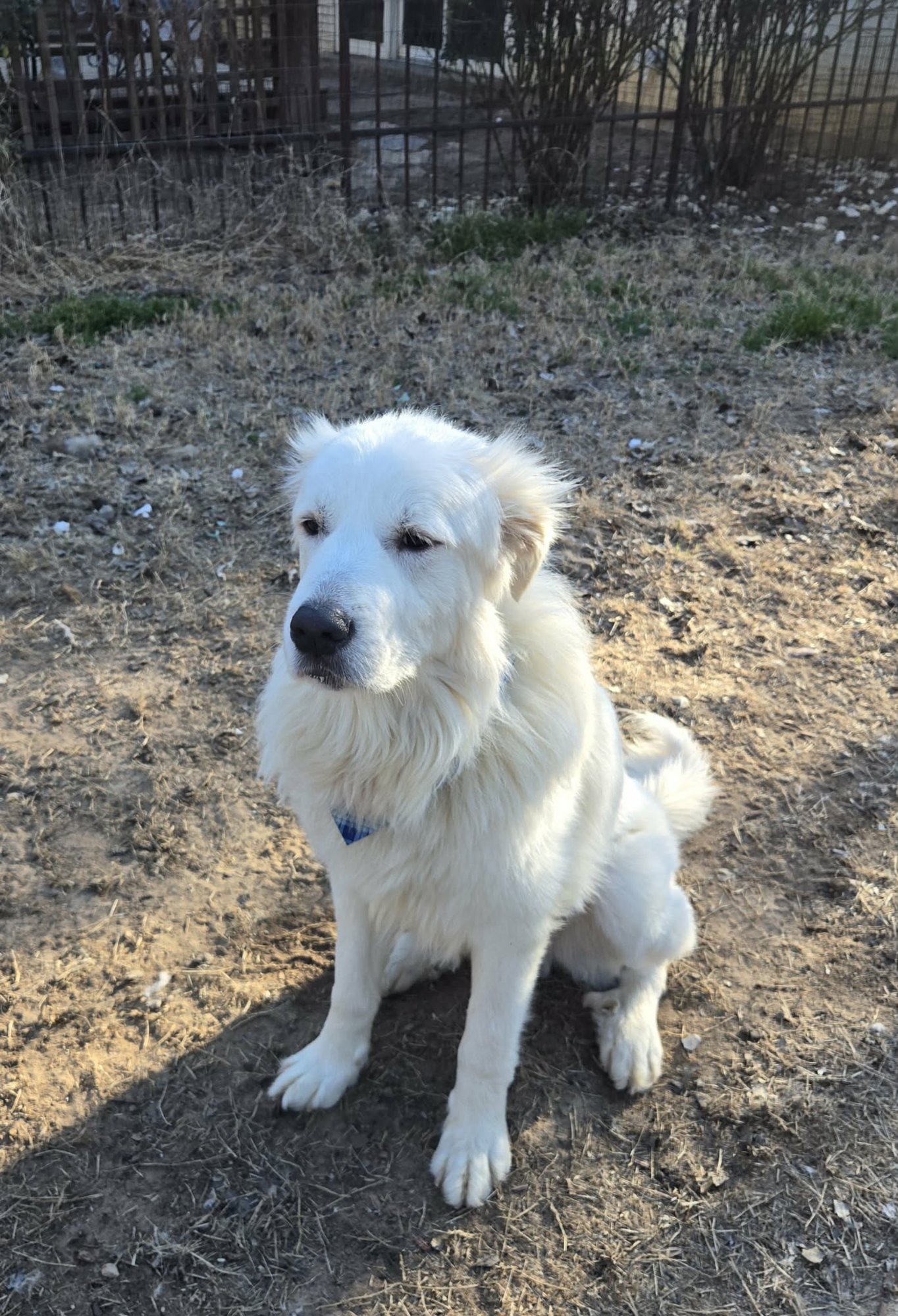 Finn - Photo 7