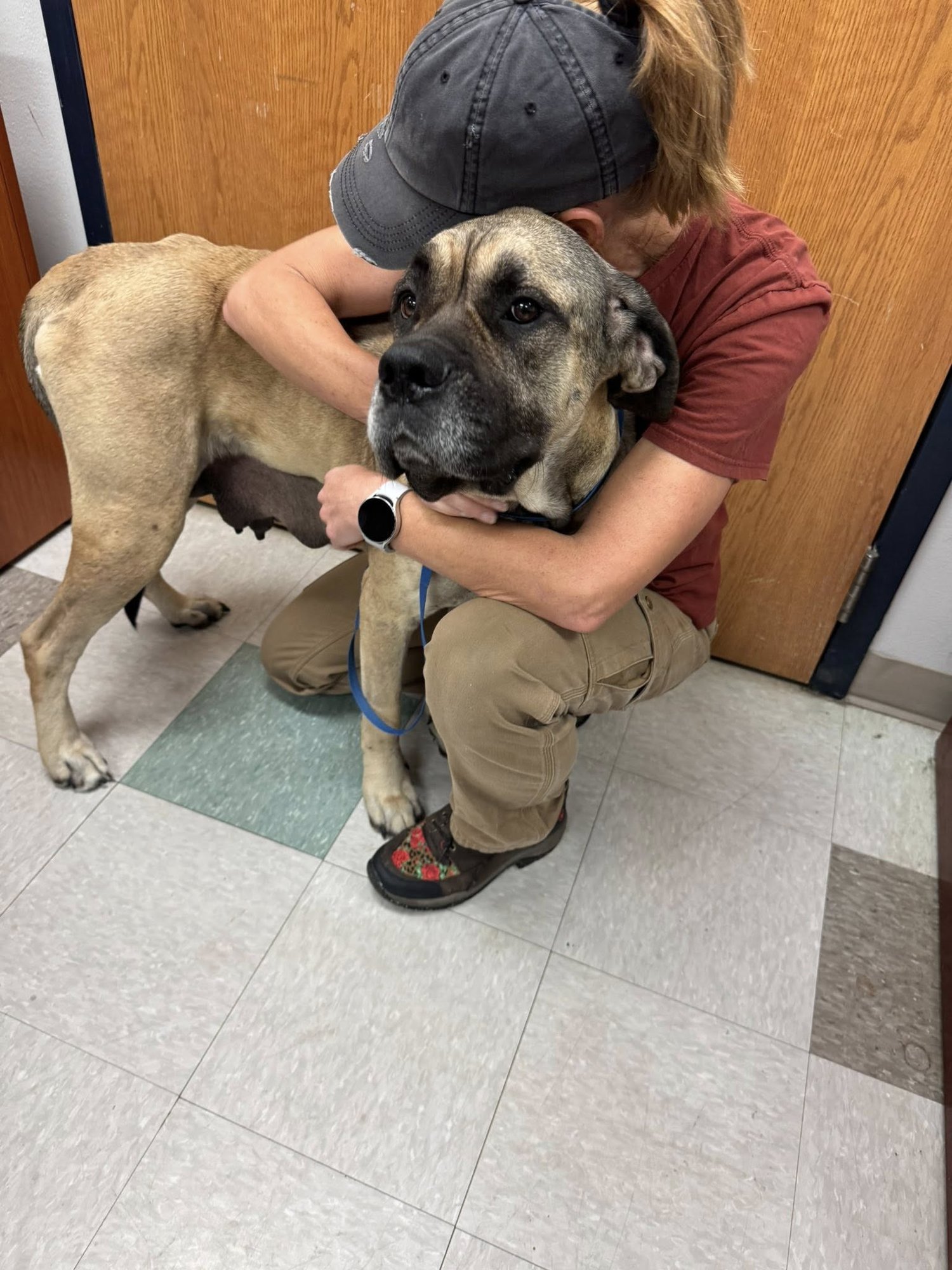 Mirabelle - Medical Hold - Photo 3