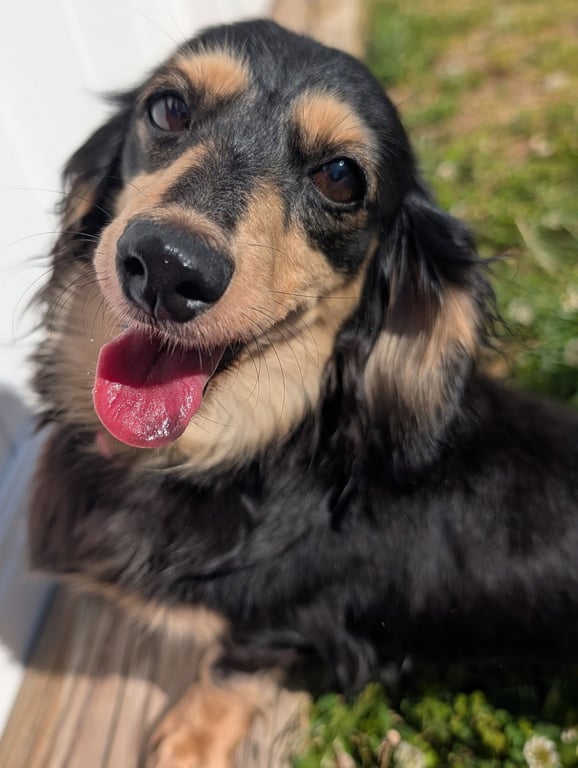 Skylar in TN Image
