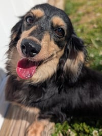 Skylar in TN - Photo 1