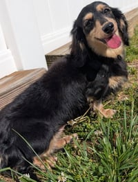 Skylar in TN - Photo 4