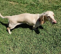 Luna in KY - Photo 7
