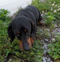 Malorie in TN - Photo 9