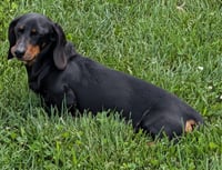 Malorie in TN - Photo 4
