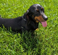Malorie in TN - Photo 7