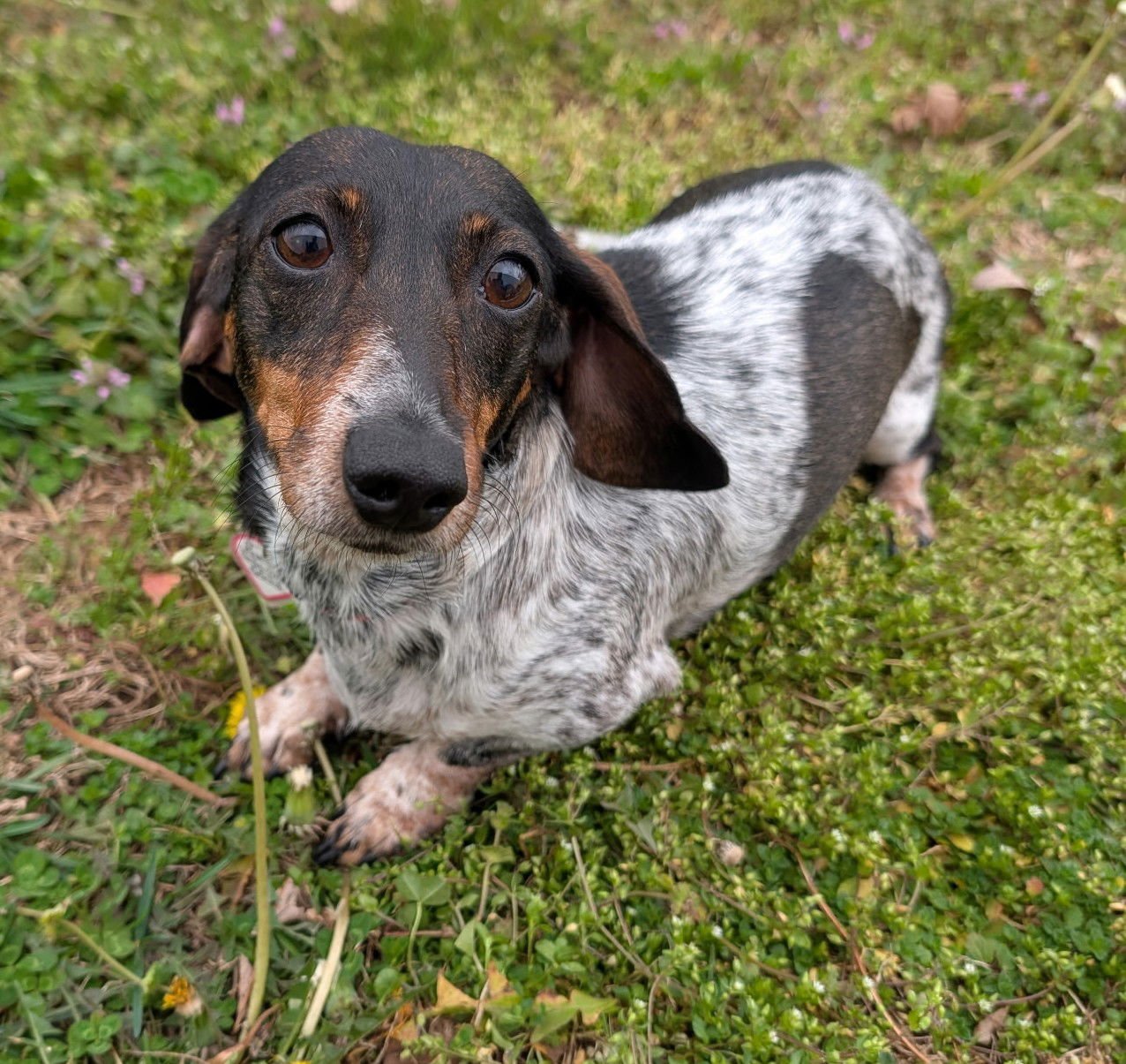 RUDY IN GA (YES, I'M A GIRL)
