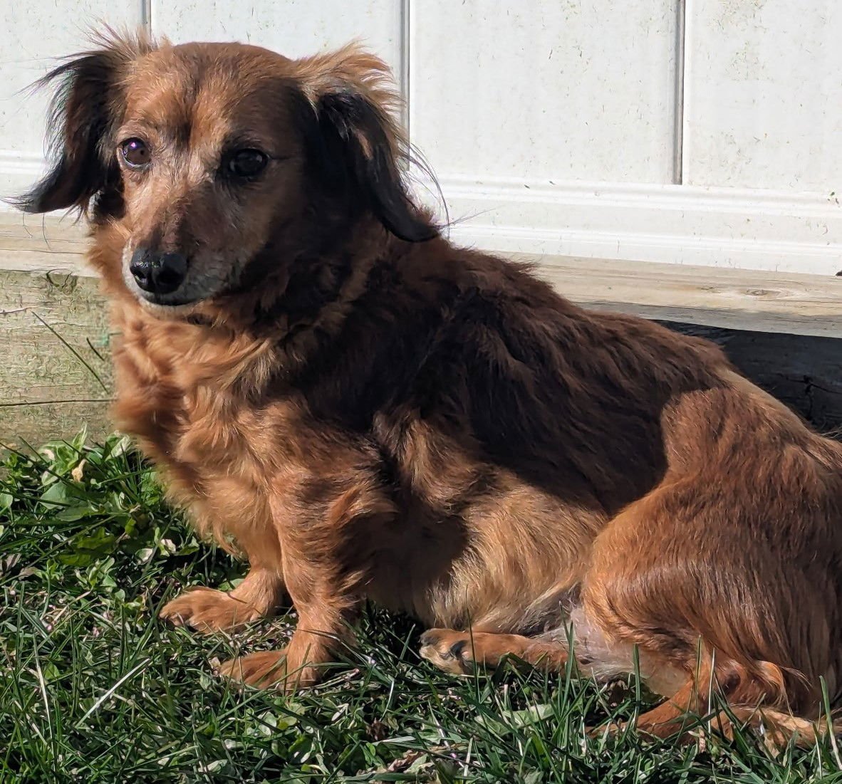 Giselle in TN - Photo 3