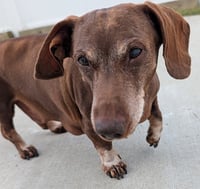 Cooper in TN - Photo 5