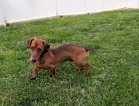 Hugo in TN - Photo 4