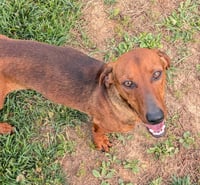 Hugo in TN - Photo 7