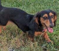 Jolene in NC - Photo 12