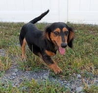 Jolene in NC - Photo 11