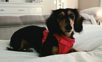 Jolene in NC - Photo 4