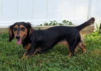 Jolene in NC - Photo 10