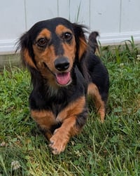Jolene in NC - Photo 1