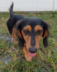 Jolene in NC - Photo 5