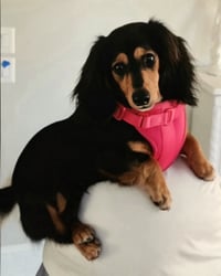 Jolene in NC - Photo 9