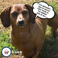 Luke in NC - Photo 5