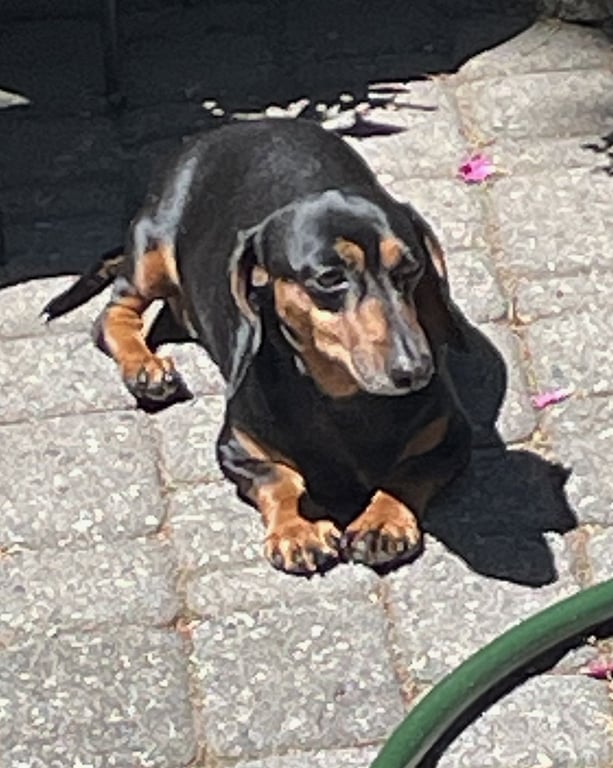 Jake in VA Image