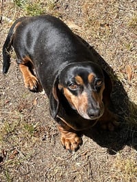 Jake in VA - Photo 2