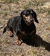 Jake in VA - Photo 3