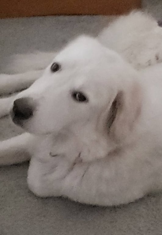 Keira Image