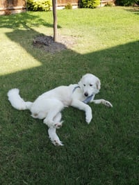 Keira - Photo 5