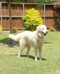Keira - Photo 3