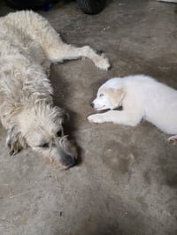 Fiona - Photo 4