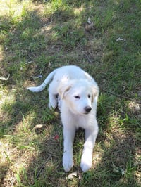 Fiona - Photo 5