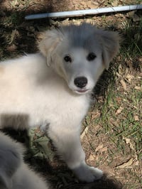 Fiona - Photo 6