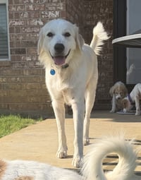 Mia - Photo 3