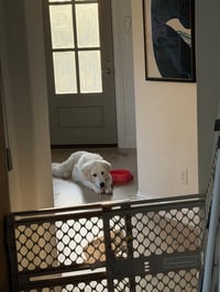 Frank - Photo 5